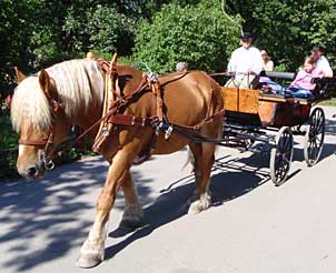 häst och vagn