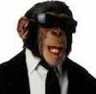 Chimp