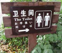 the toilet